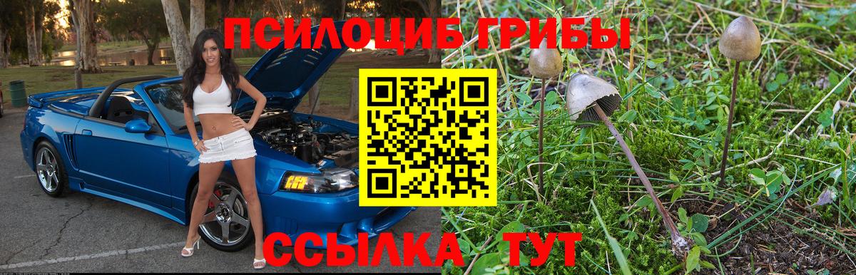 Псилоцибиновые грибы MAGIC MUSHROOMS Полысаево